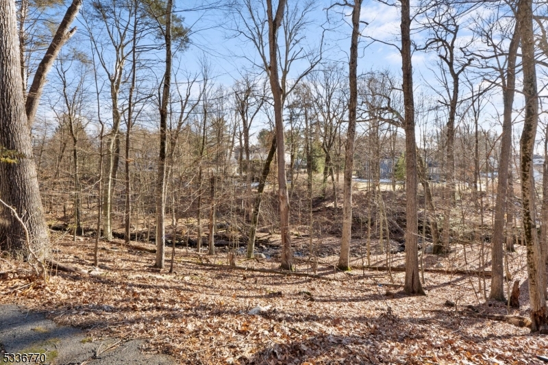 20 Hidden Glen Rd
