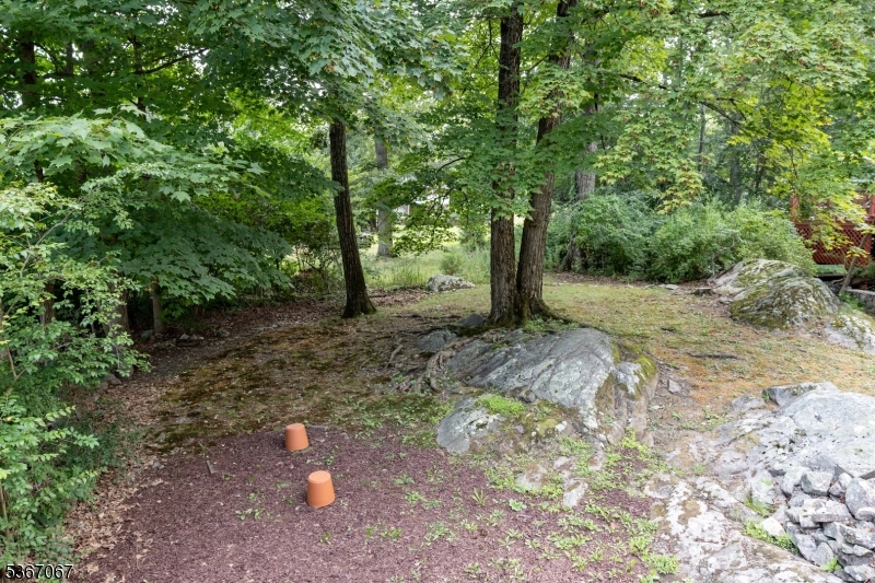 4 Bear Pond Trl