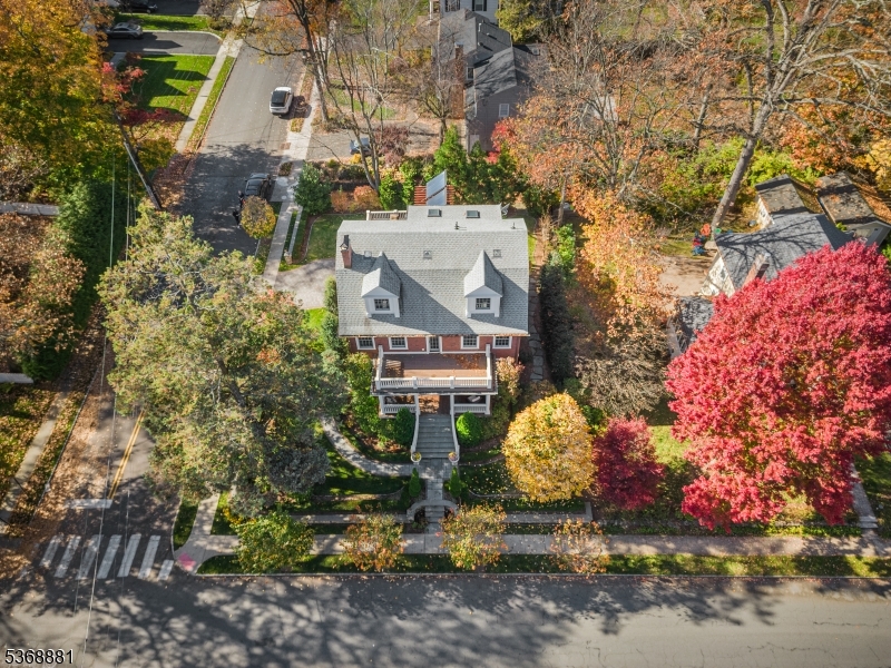 67 Tulip St