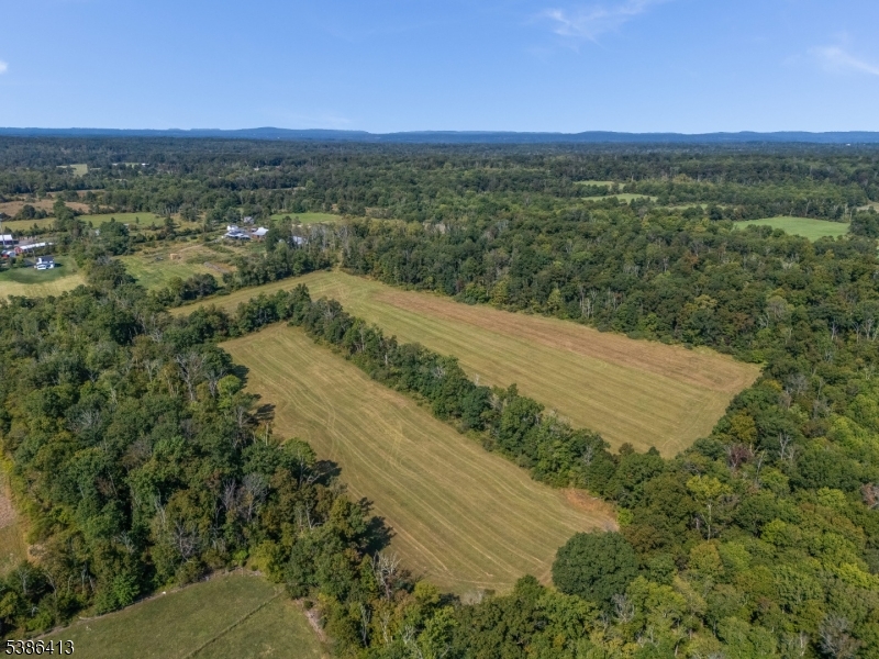 16 Hewitt Rd