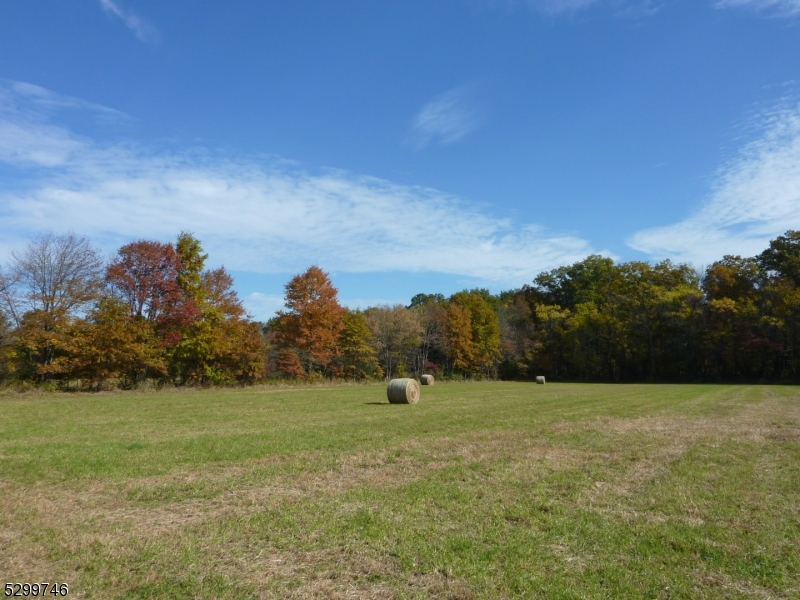 35 Barbertown Point Breeze