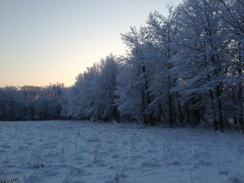 35 Barbertown Point Breeze