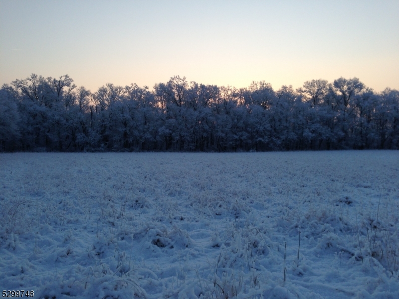 35 Barbertown Point Breeze