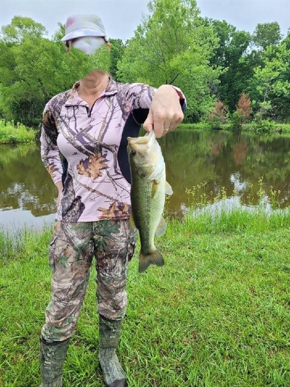 Thumbnail 52