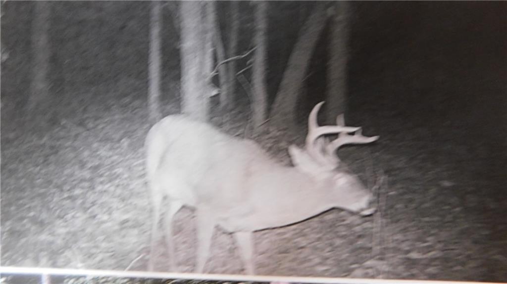 Thumbnail 22