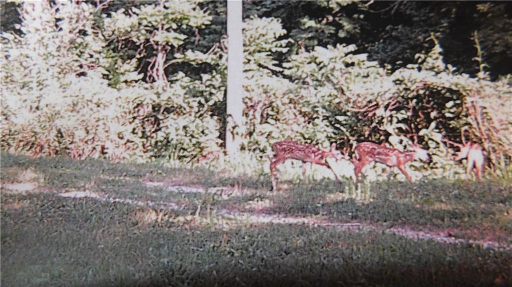 Thumbnail 23