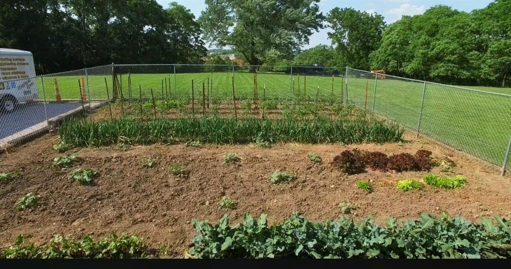 Thumbnail 29