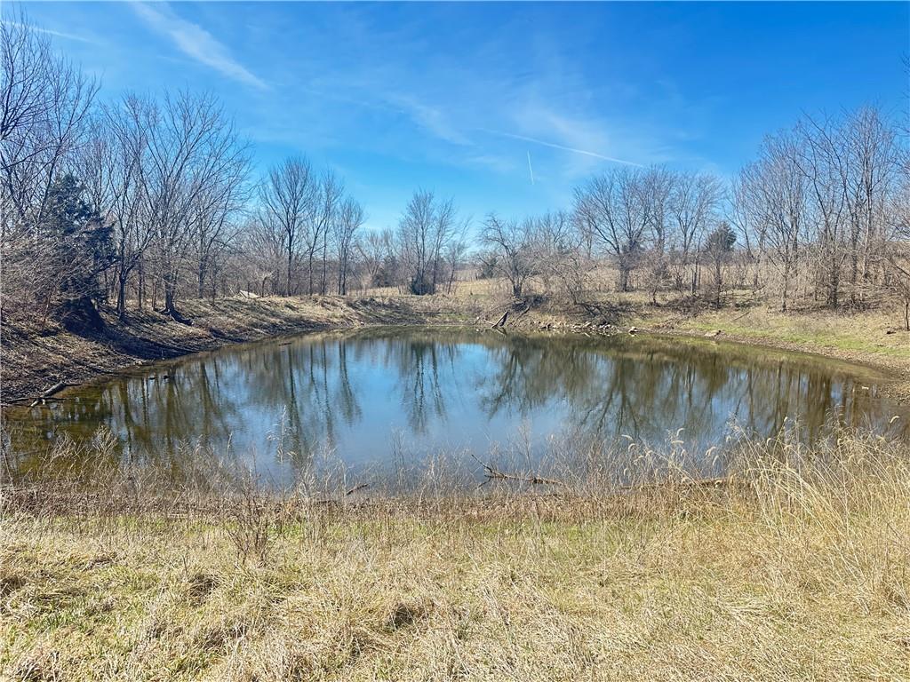 Thumbnail 32