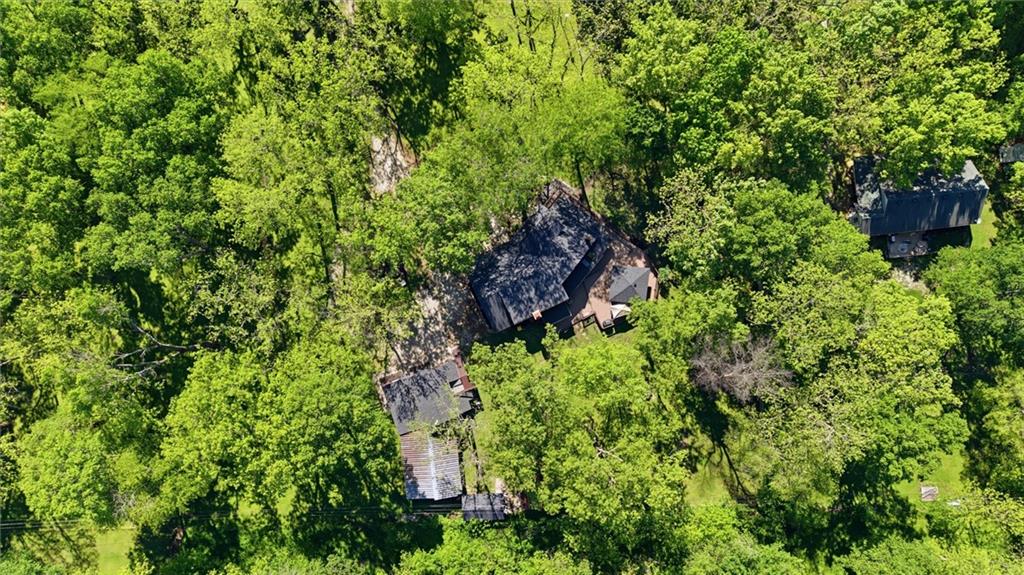 Thumbnail 50