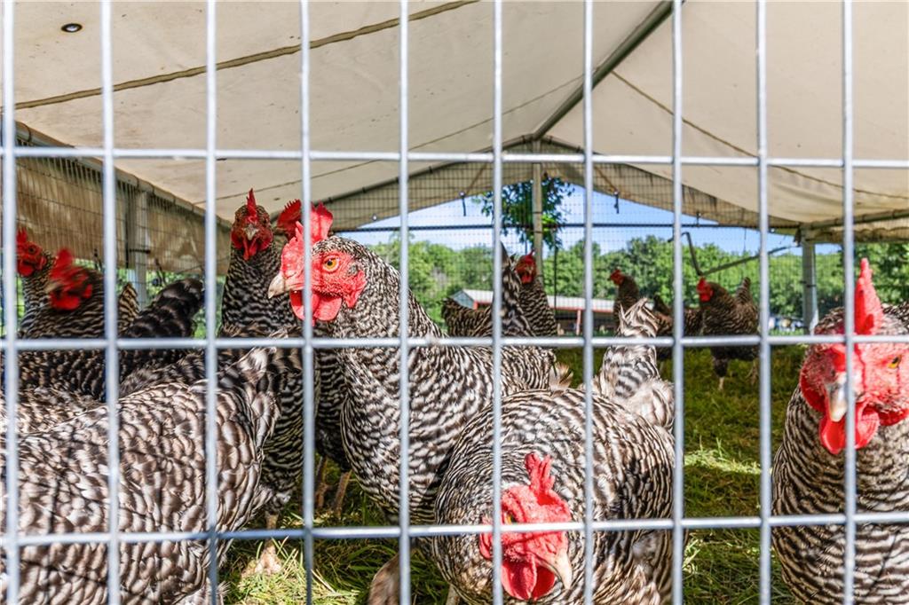 Thumbnail 47