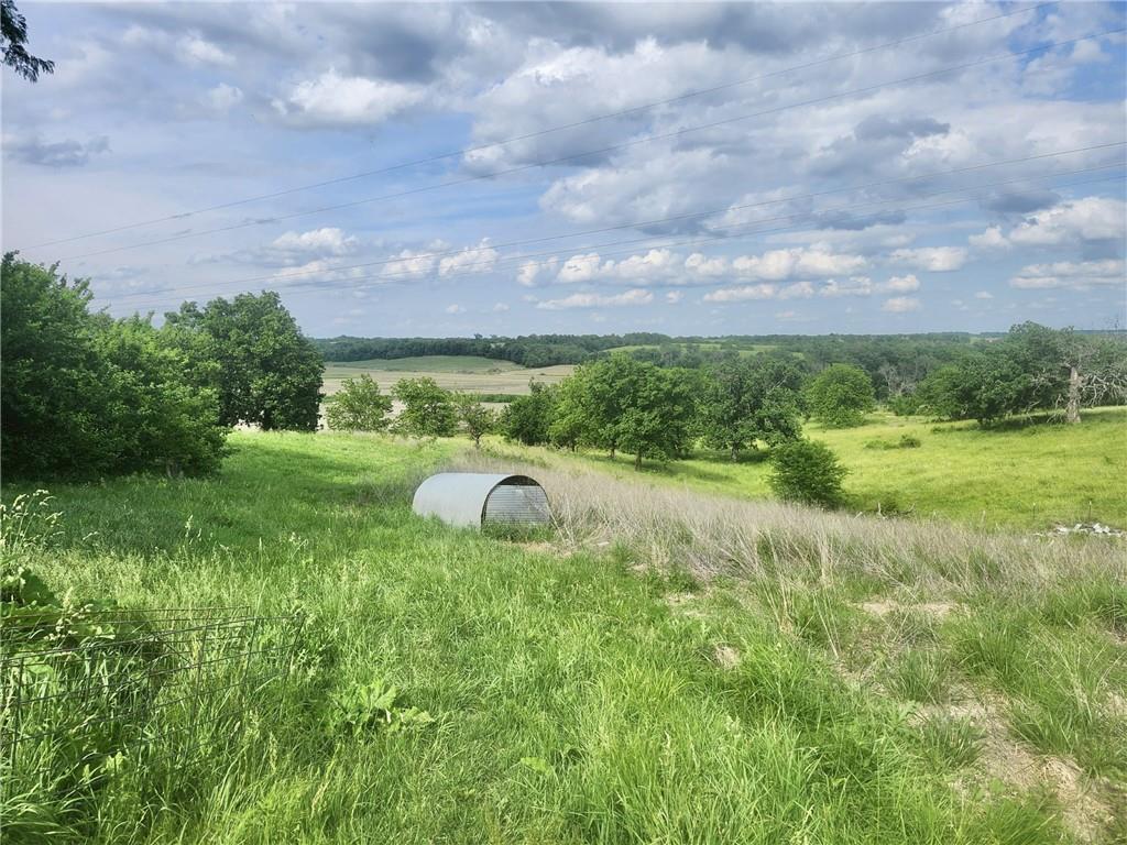 Thumbnail 31