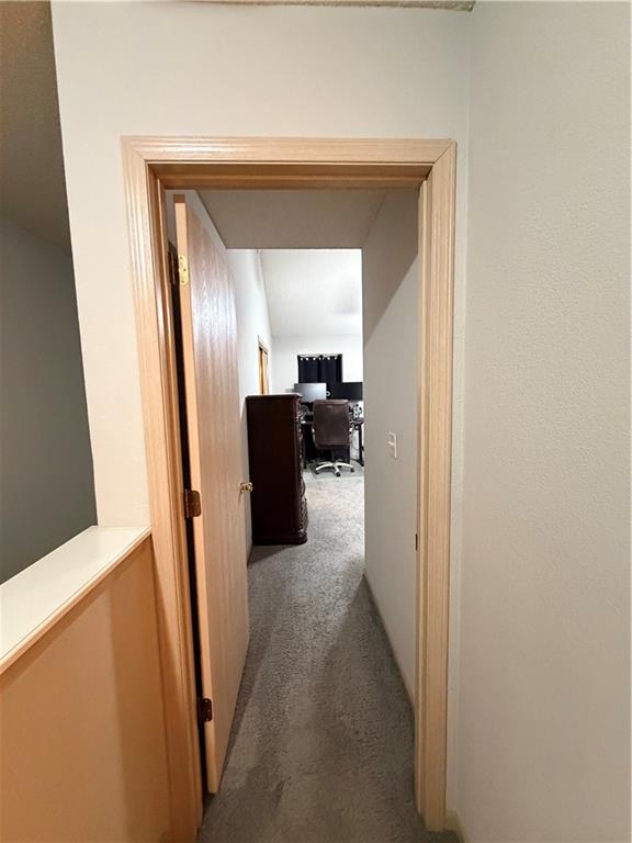Thumbnail 19
