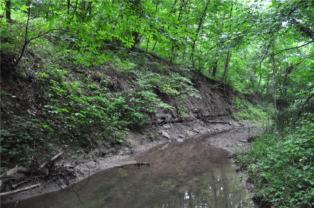 Thumbnail 20