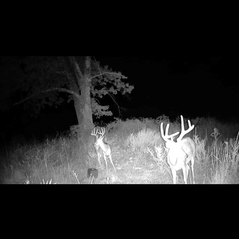 Thumbnail 35