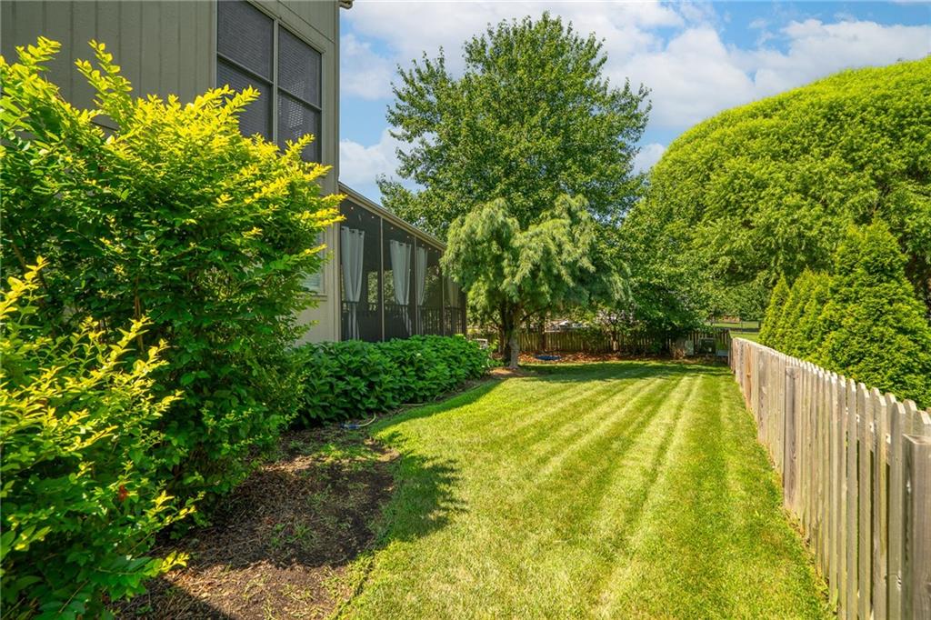 Thumbnail 53