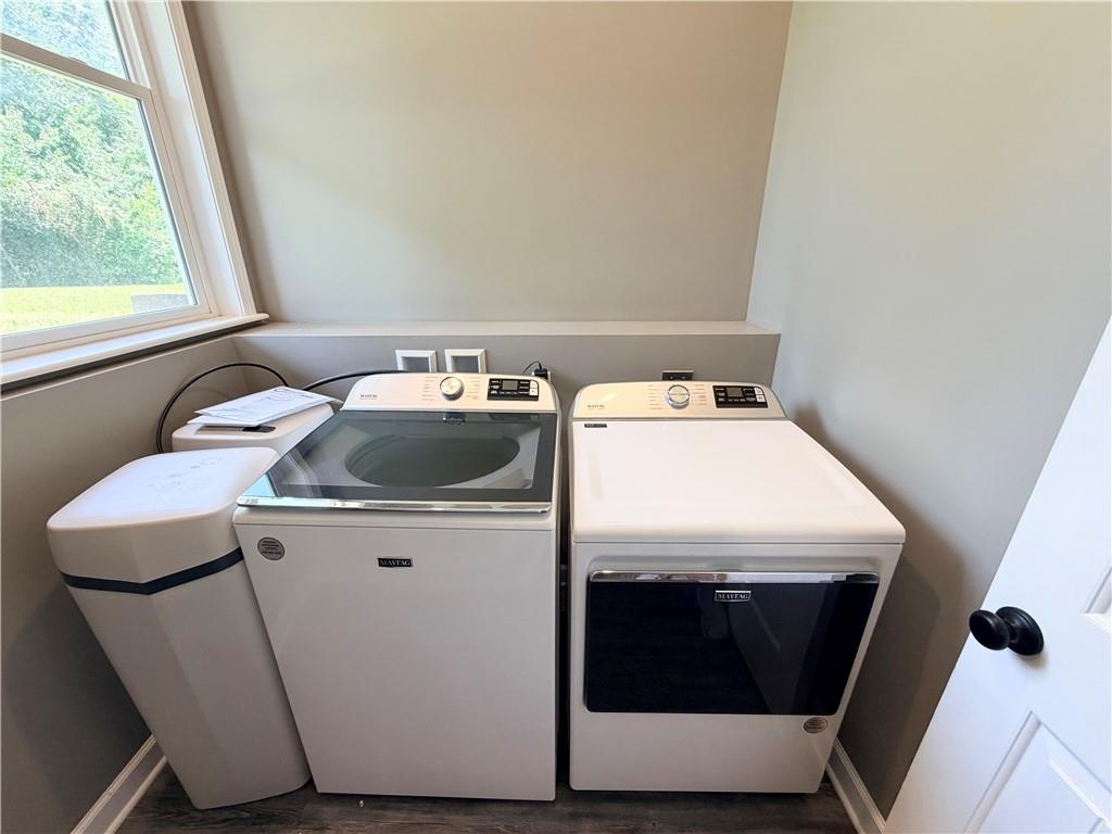 Thumbnail 37
