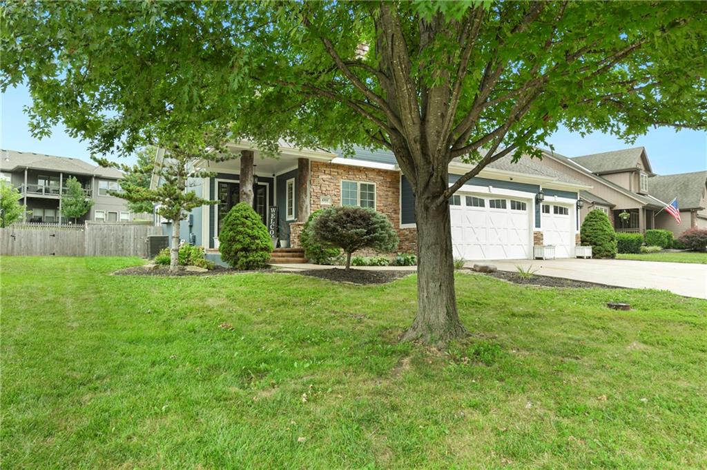 Thumbnail 39