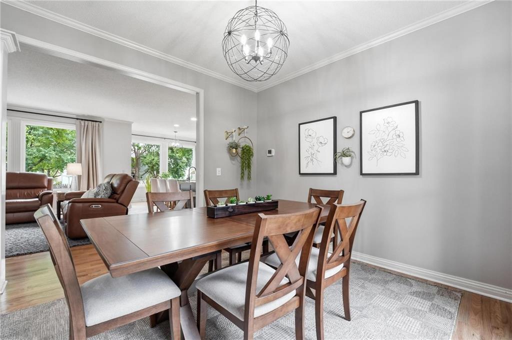 Thumbnail 17