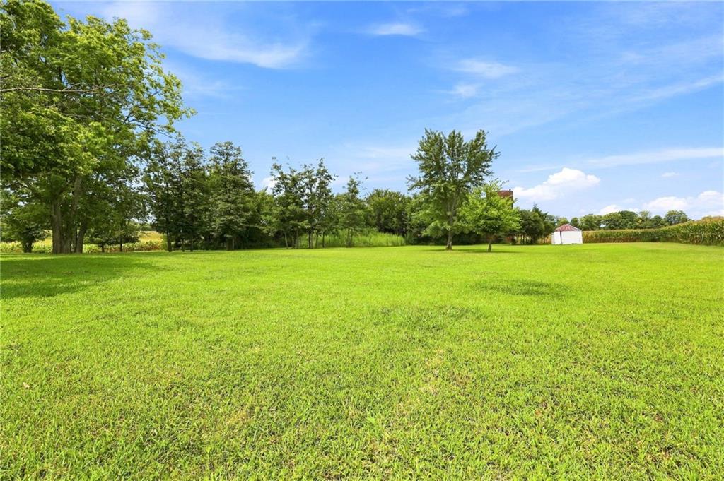 Thumbnail 35