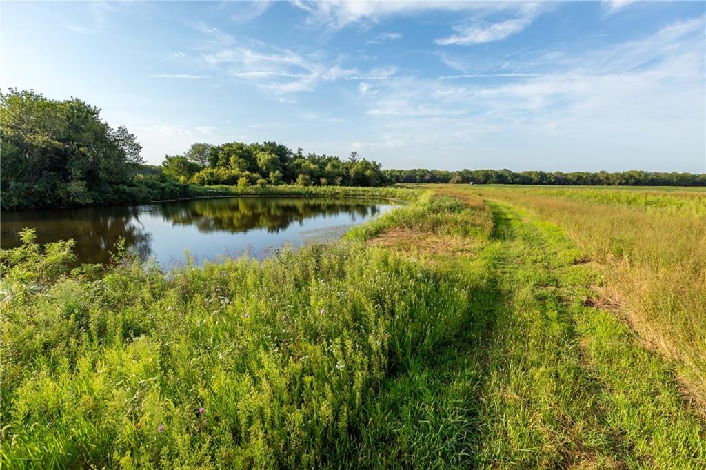 Thumbnail 33