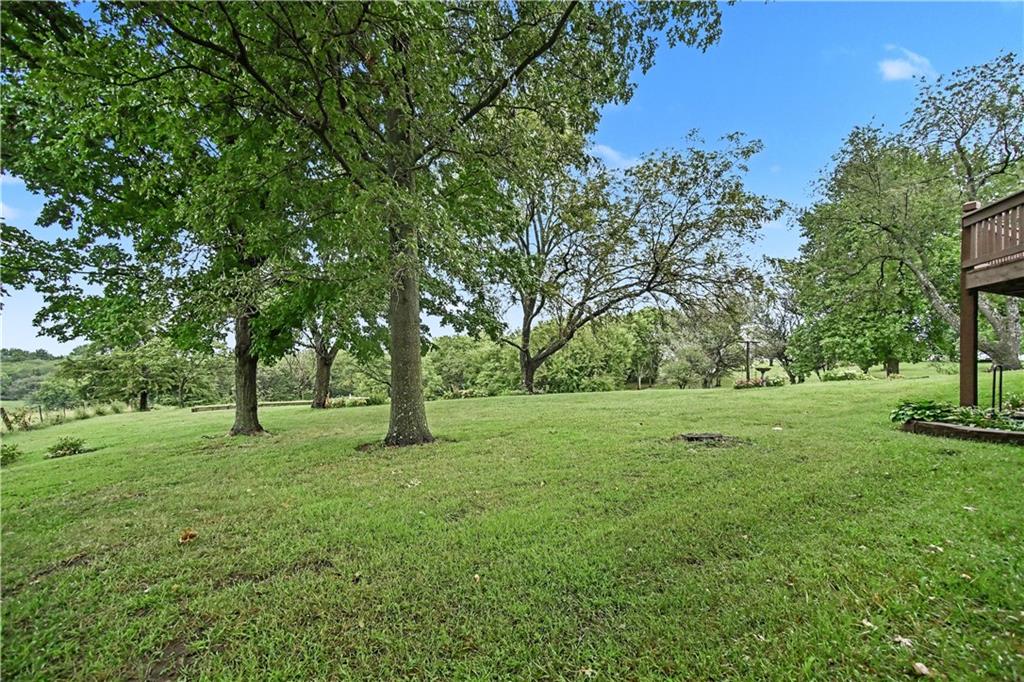 Thumbnail 28