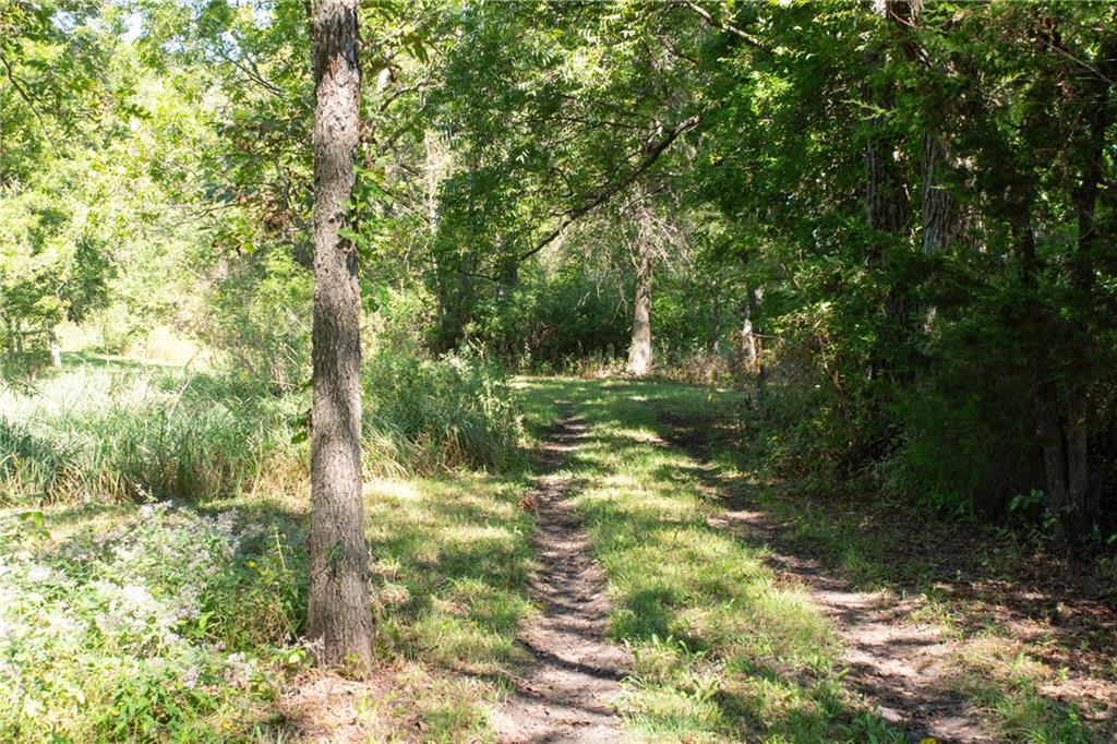 Thumbnail 65