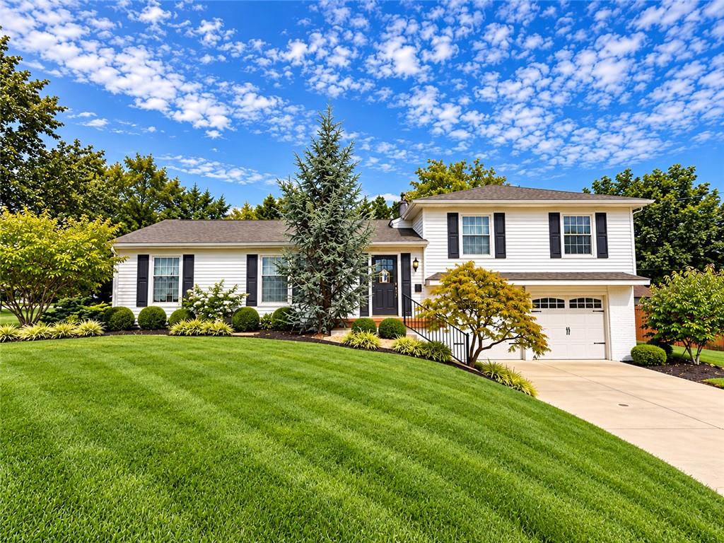 9643 Woodson Drive - Photo 1