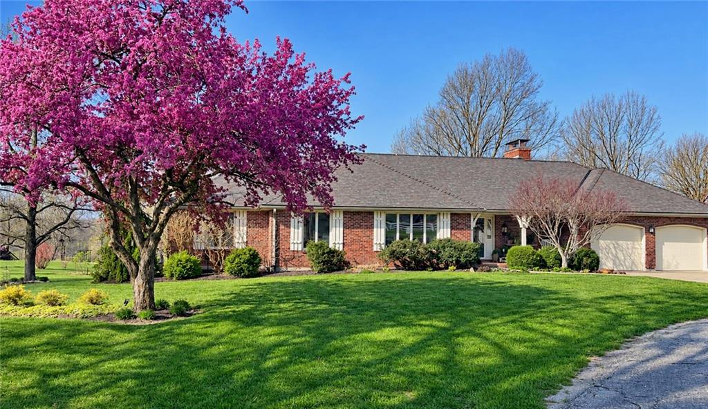 Thumbnail 16
