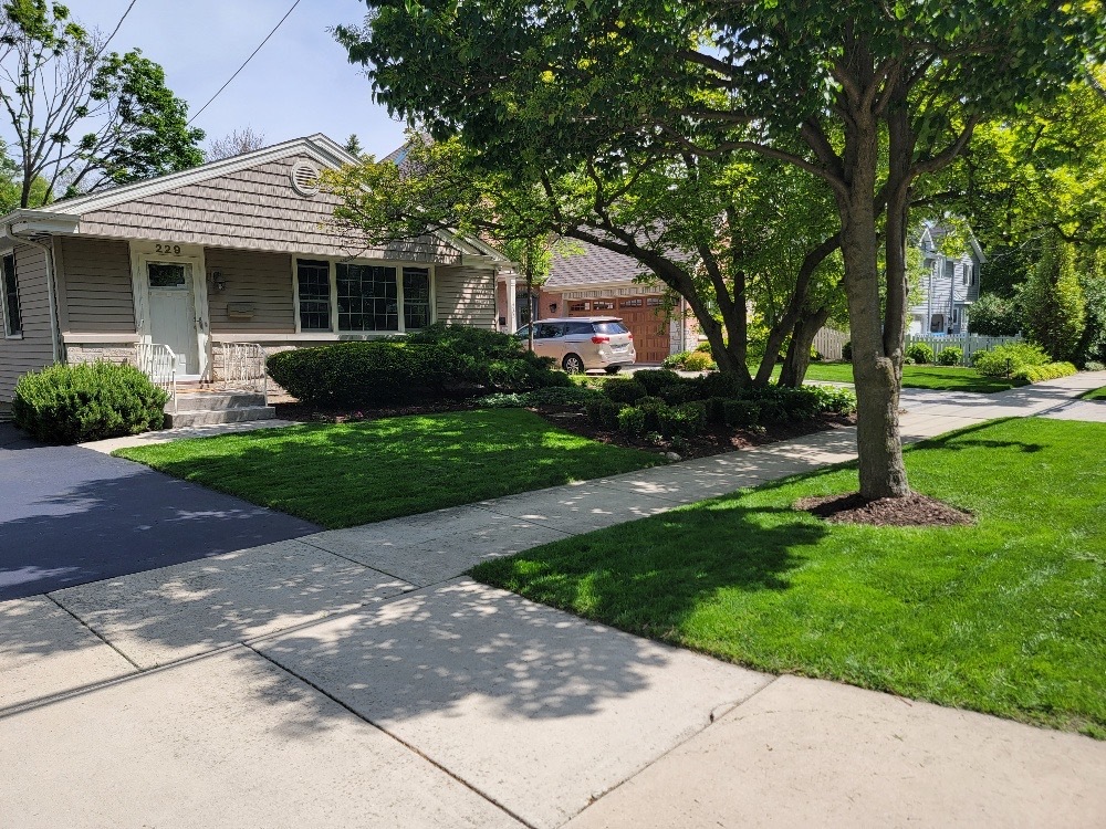 229 Fuller Road photo 2