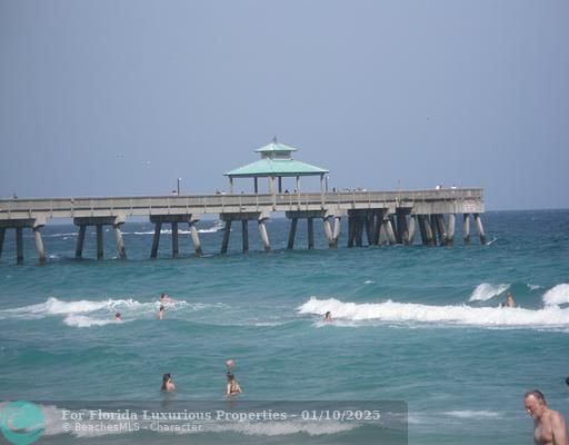 Photo: 49 of 50