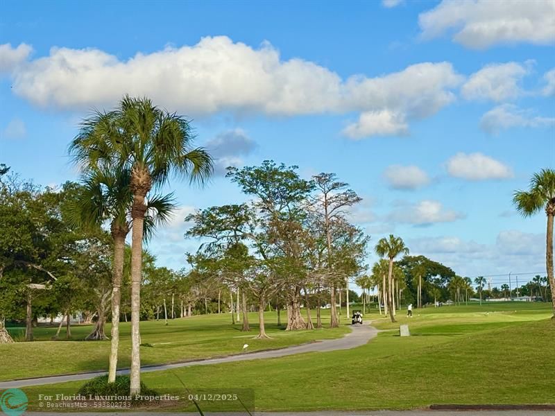 Photo: 45 of 70