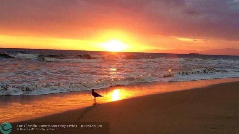 Photo: 80 of 80