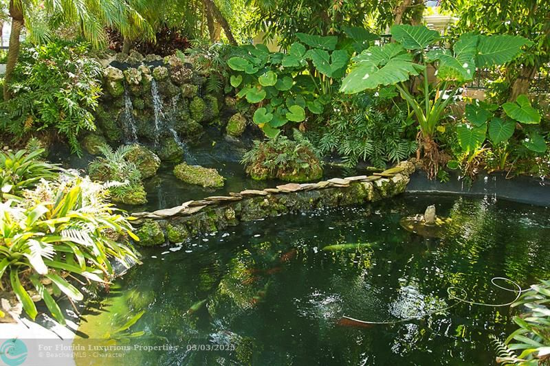 Photo: 33 of 47