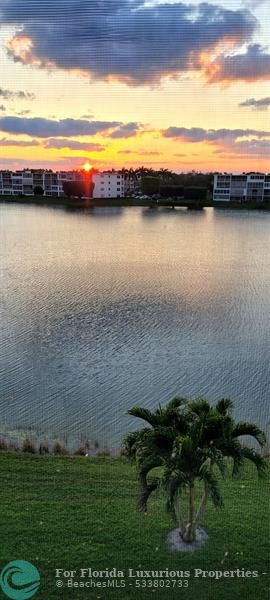 Photo: 36 of 59
