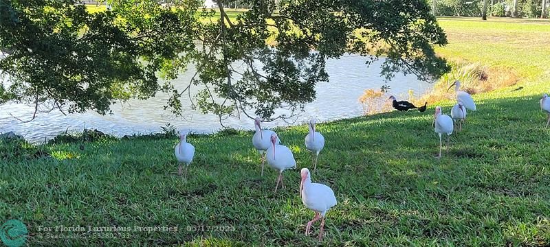Photo: 38 of 59