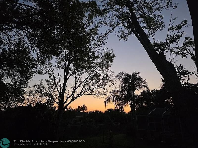 Photo: 45 of 50