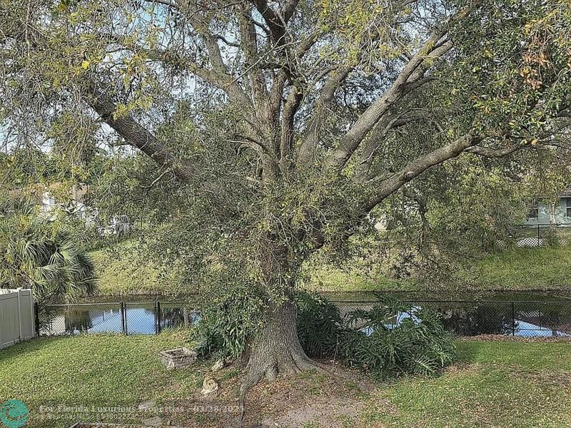 Photo: 47 of 50