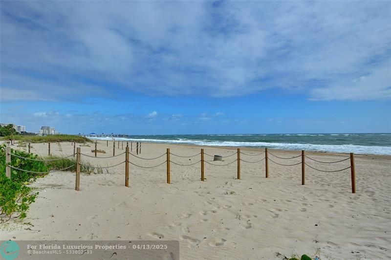 Photo: 43 of 62