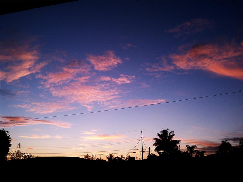 Photo: 38 of 39