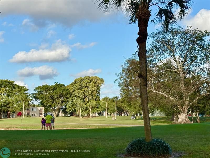 Photo: 24 of 51