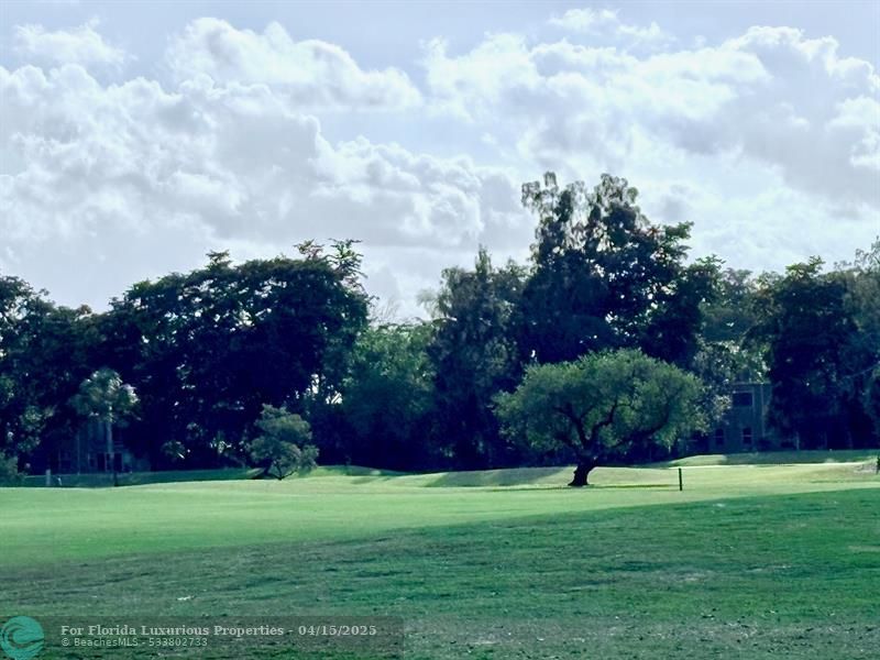 Photo: 32 of 51