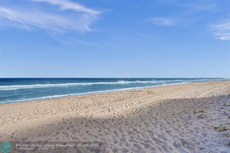 Photo: 54 of 77