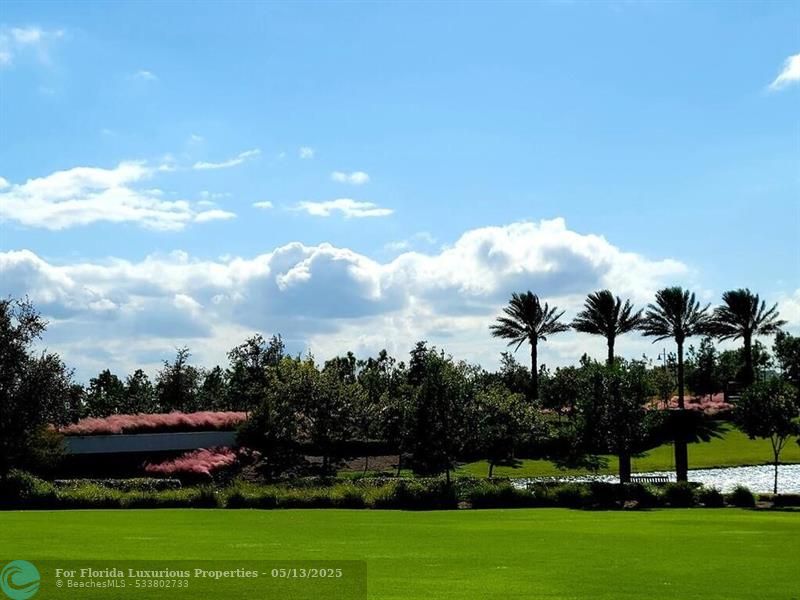 Photo: 27 of 44
