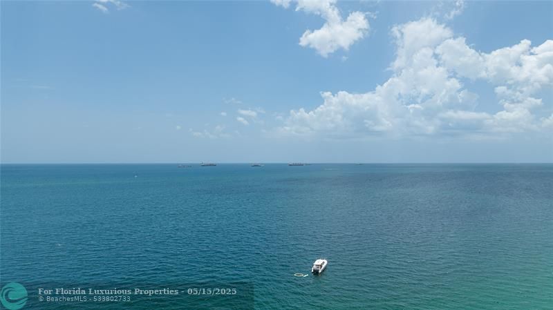 Photo: 31 of 31