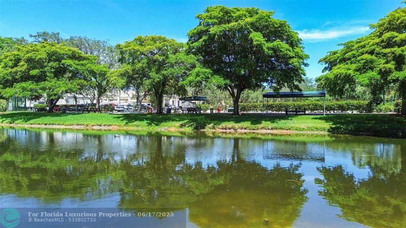Photo: 42 of 48