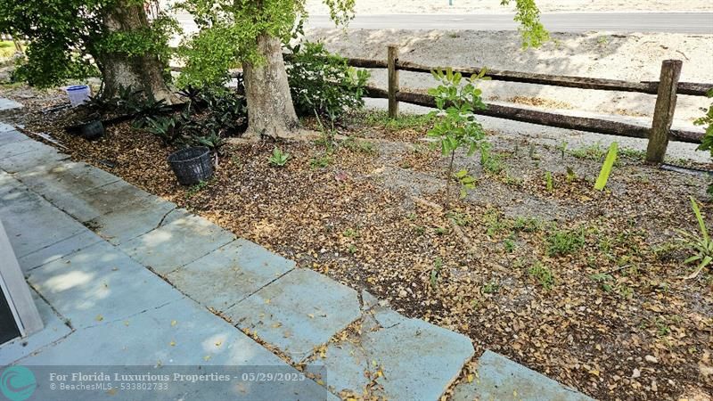 Photo: 29 of 32