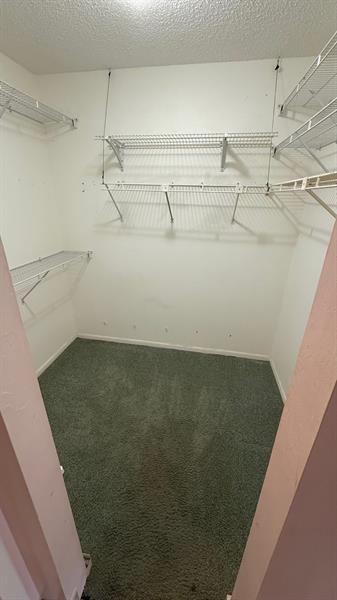 Photo: 12 of 22