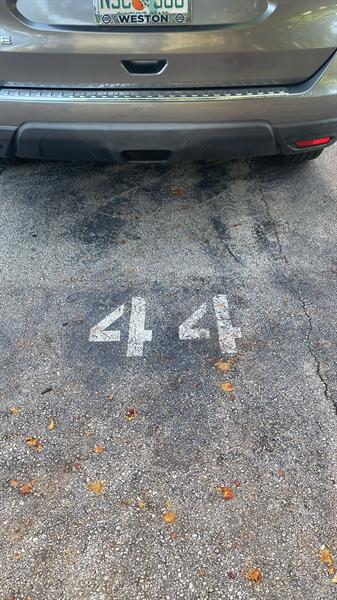 Photo: 35 of 64