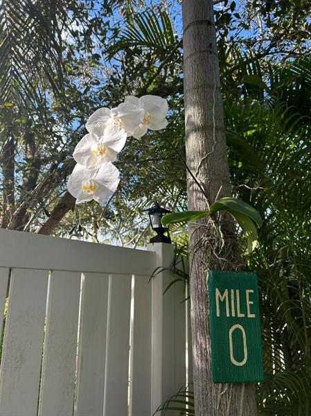 Photo: 45 of 50