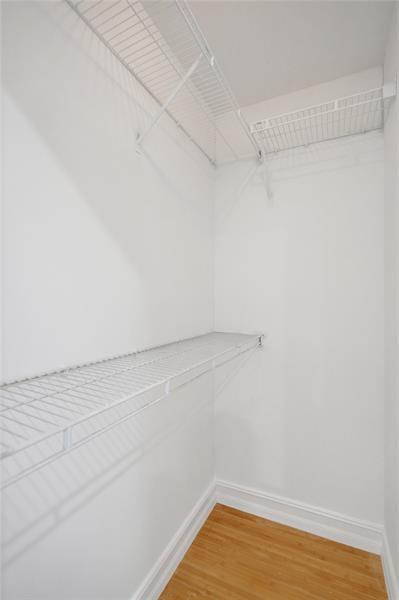 Photo: 51 of 64